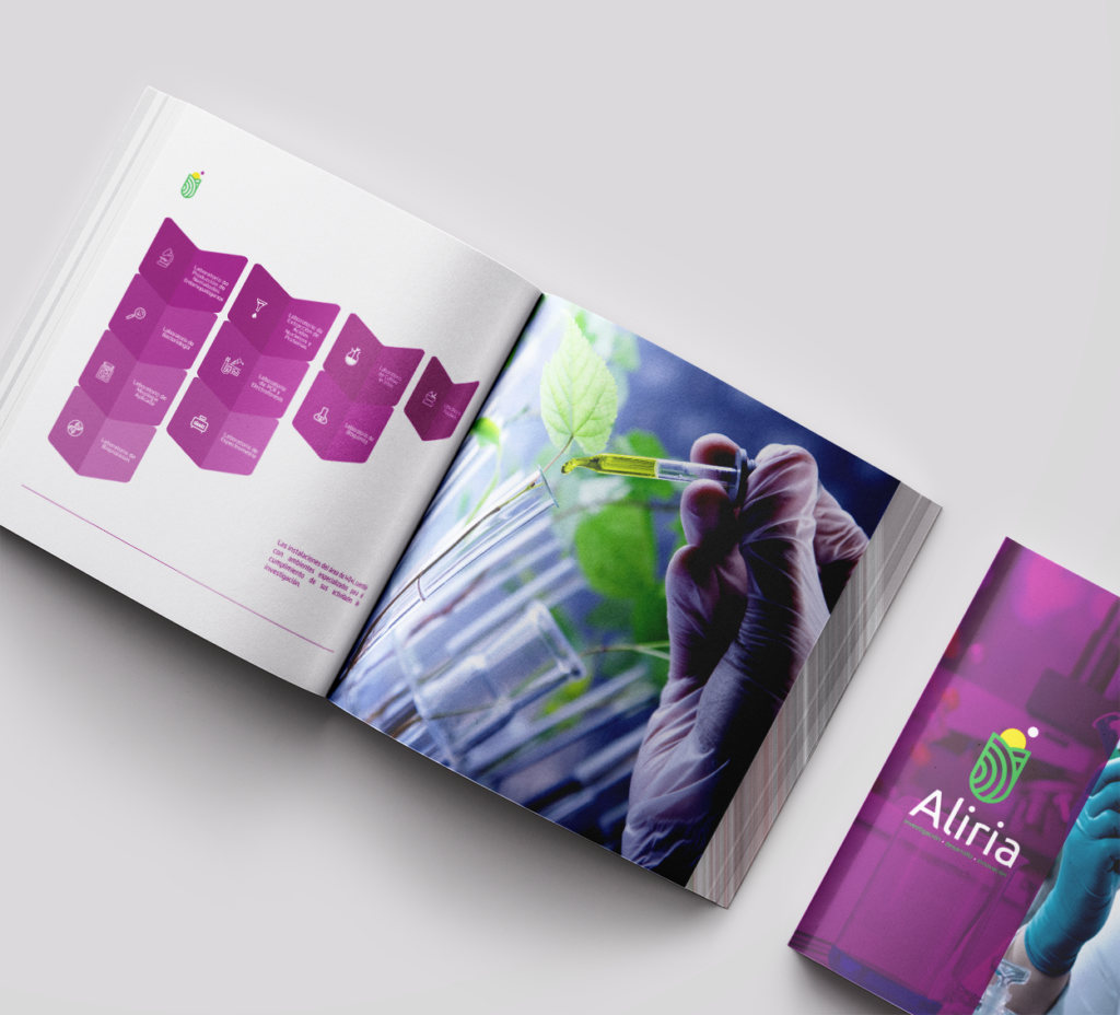 branding aliria brandbook