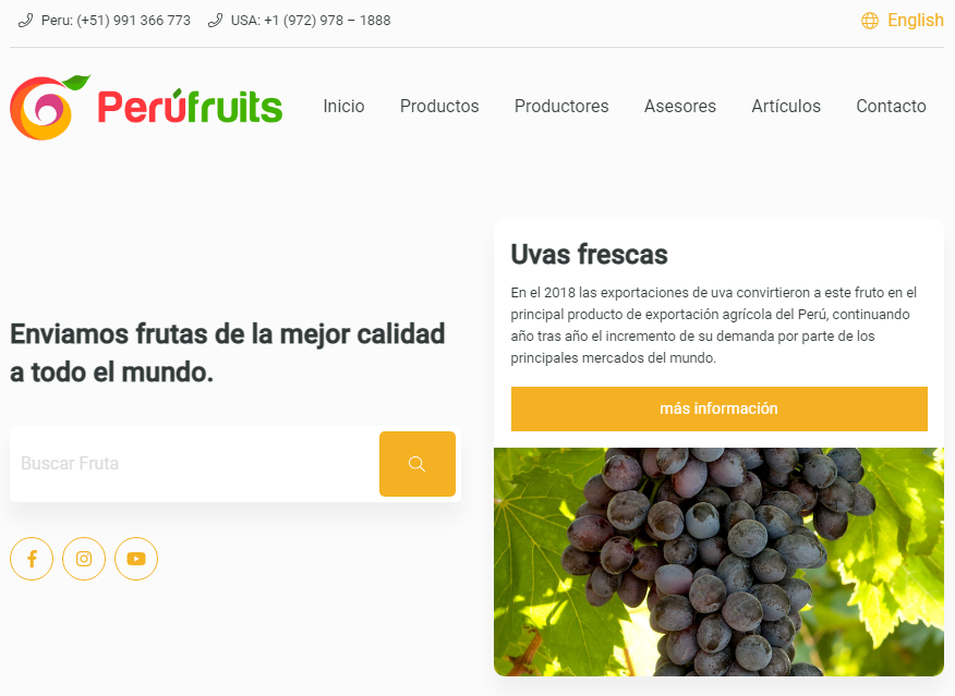 ejemplo diseño y desarrollo web fruits in peru