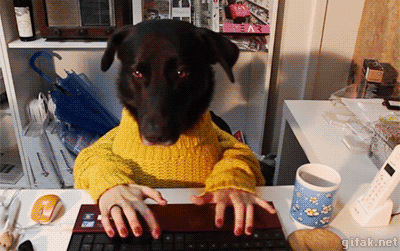 Perro escribiendo en laptop sobre consultoría de negocios